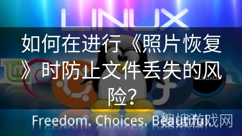 如何在进行《照片恢复》时防止文件丢失的风险？