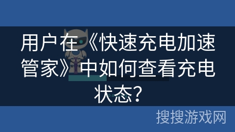 用户在《快速充电加速管家》中如何查看充电状态？