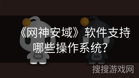 《网神安域》软件支持哪些操作系统？