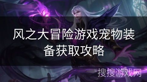 风之大冒险游戏宠物装备获取攻略