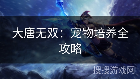 大唐无双：宠物培养全攻略