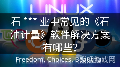 石 *** 业中常见的《石油计量》软件解决方案有哪些？