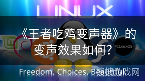 《王者吃鸡变声器》的变声效果如何? 《王者吃鸡变声器》的变声效果如何?