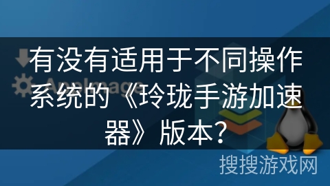 有没有适用于不同操作系统的《玲珑手游加速器》版本？