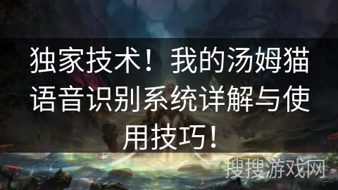 独家技术!我的汤姆猫语音识别系统详解与使用技巧! 独家技术!我的汤姆猫语音识别系统详解与使用技巧!