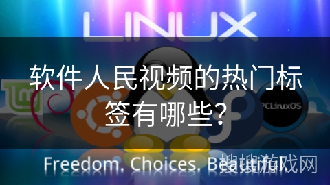 软件人民视频的热门标签有哪些？