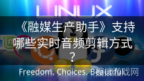 《融媒生产助手》支持哪些实时音频剪辑方式? 《融媒生产助手》支持哪些实时音频剪辑方式?
