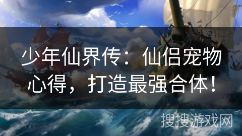 少年仙界传：仙侣宠物心得，打造最强合体！
