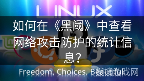 如何在《黑阈》中查看网络攻击防护的统计信息? 如何在《黑阈》中查看网络攻击防护的统计信息?