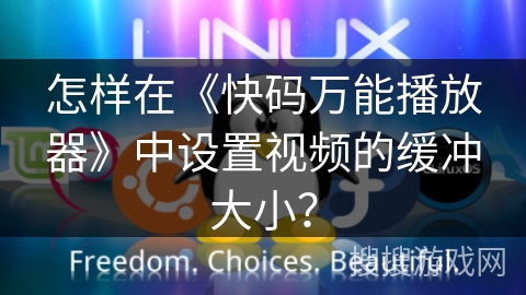 怎样在《快码万能播放器》中设置视频的缓冲大小？