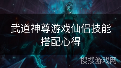 武道神尊游戏仙侣技能搭配心得
