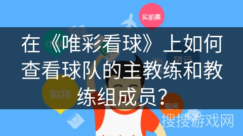 在《唯彩看球》上如何查看球队的主教练和教练组成员？