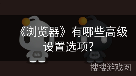 《浏览器》有哪些高级设置选项? 《浏览器》有哪些高级设置选项?
