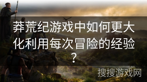 莽荒纪游戏中如何更大化利用每次冒险的经验？