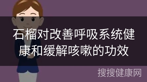 石榴对改善呼吸系统健康和缓解咳嗽的功效