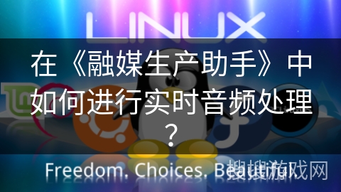 在《融媒生产助手》中如何进行实时音频处理？