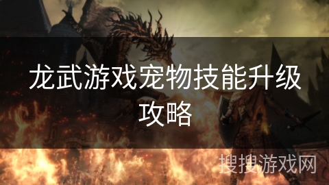 龙武游戏宠物技能升级攻略 龙武游戏宠物技能升级攻略