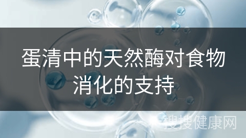 蛋清中的天然酶对食物消化的支持