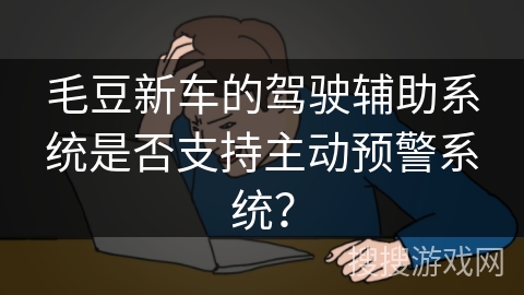 毛豆新车的驾驶辅助系统是否支持主动预警系统？