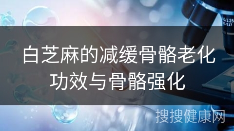 白芝麻的减缓骨骼老化功效与骨骼强化