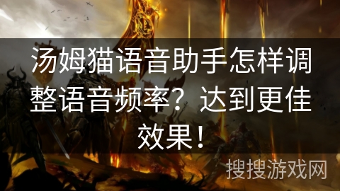 汤姆猫语音助手怎样调整语音频率？达到更佳效果！