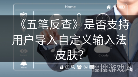《五笔反查》是否支持用户导入自定义输入法皮肤？