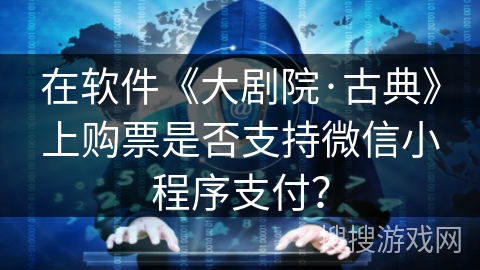 在软件《大剧院·古典》上购票是否支持微信小程序支付？