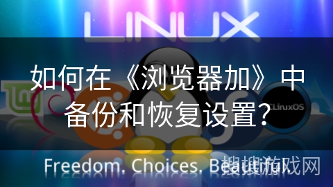如何在《浏览器加》中备份和恢复设置？