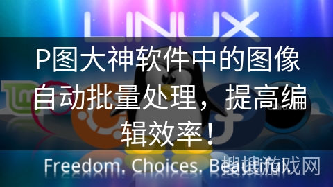 P图大神软件中的图像自动批量处理,提高编辑效率! P图大神软件中的图像自动批量处理,提高编辑效率!