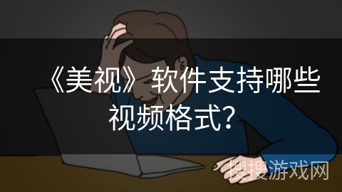 《美视》软件支持哪些视频格式？