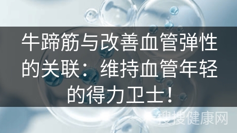 牛蹄筋与改善血管弹性的关联：维持血管年轻的得力卫士！