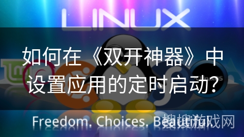 如何在《双开神器》中设置应用的定时启动？