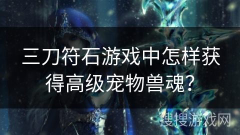 三刀符石游戏中怎样获得高级宠物兽魂? 三刀符石游戏中怎样获得高级宠物兽魂?
