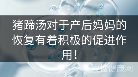 猪蹄汤对于产后妈妈的恢复有着积极的促进作用！