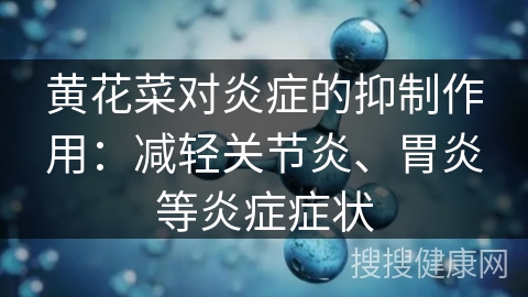 黄花菜对炎症的抑制作用：减轻关节炎、胃炎等炎症症状