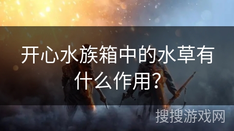 开心水族箱中的水草有什么作用？