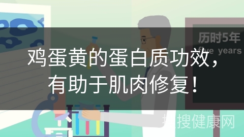 鸡蛋黄的蛋白质功效，有助于肌肉修复！