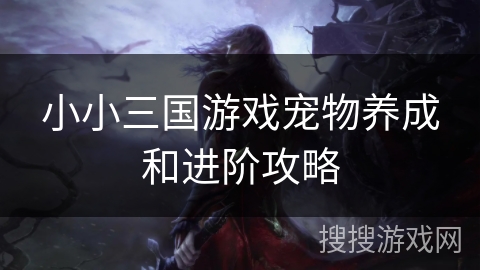 小小三国游戏宠物养成和进阶攻略