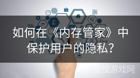 如何在《内存管家》中保护用户的隐私？