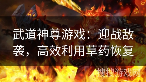 武道神尊游戏：迎战敌袭，高效利用草药恢复
