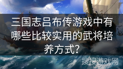 三国志吕布传游戏中有哪些比较实用的武将培养方式? 三国志吕布传游戏中有哪些比较实用的武将培养方式?