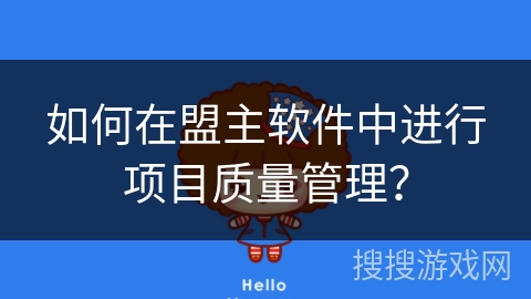 如何在盟主软件中进行项目质量管理？
