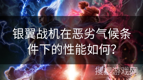 银翼战机在恶劣气候条件下的性能如何? 银翼战机在恶劣气候条件下的性能如何?