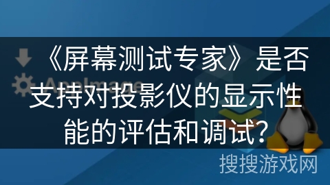 《屏幕测试专家》是否支持对投影仪的显示性能的评估和调试？