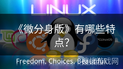 《微分身版》有哪些特点? 《微分身版》有哪些特点?