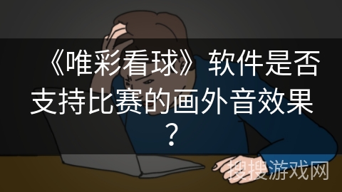 《唯彩看球》软件是否支持比赛的画外音效果？