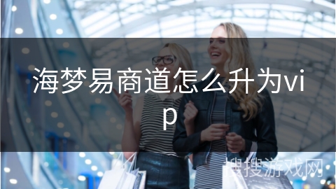 海梦易商道怎么升为vip