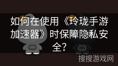 如何在使用《玲珑手游加速器》时保障隐私安全？