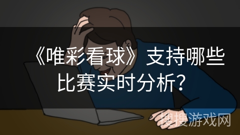 《唯彩看球》支持哪些比赛实时分析？