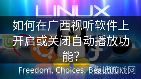 如何在广西视听软件上开启或关闭自动播放功能？